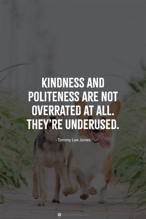 62 Quotes About Being Kind to Yourself & Others - Bright Drops