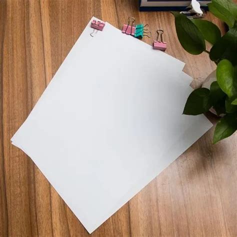 Printing Paper - News Print and Maplitho Paper Exporter from Rajkot