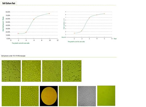 Products || BioStar Lifetech