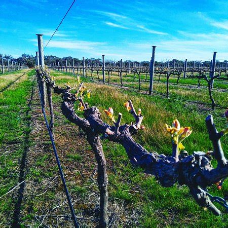 Parndana Tourism (2024): All You Need to Know Before You Go