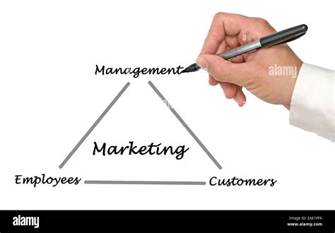 Diagram About Marketing 的图像结果