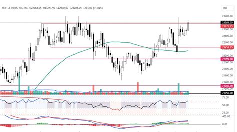 Top 2 Stocks to Watch Today – 12 October, 2023 | Angel One