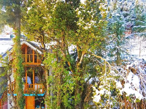 Jibhi Holiday Rentals & Homes - Himachal Pradesh, India | Airbnb