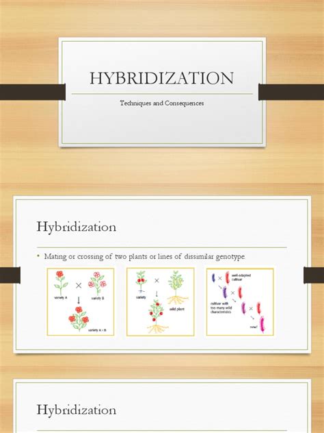 Plant Hybridization | PDF | Hybrid (Biology) | Plant Breeding