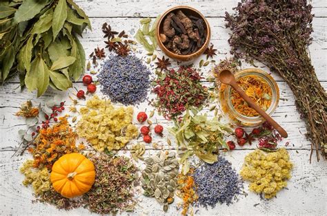 Herbal Medicine 的图像结果