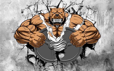 Wallpaper for Gym Walls, Beast Mode ON - Magicdecor®