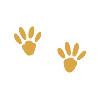 Image result for String Code Definition