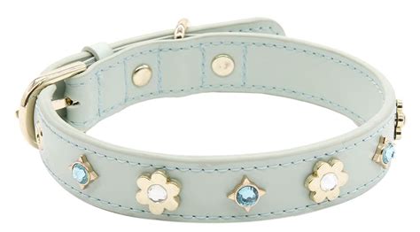 35 Best Designer Dog Collars from High-End brands