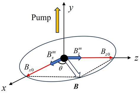 Vector Atomic Magnetometer with Free Induction Decay Detection Based on ...