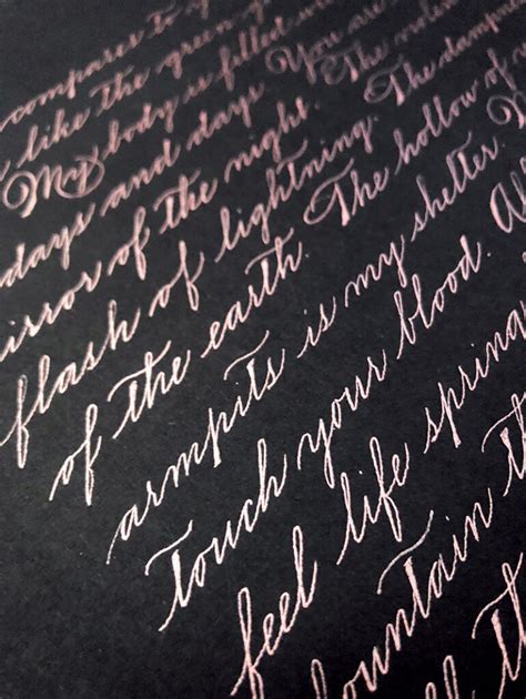 Image result for Spencerian Script Handwriting Style
