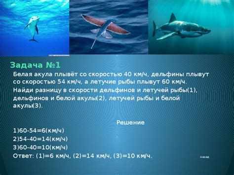 Морская математика