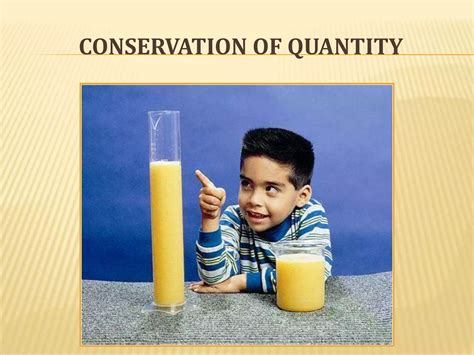 Cognitive Theory Piaget 的图像结果