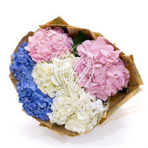 Buy Fresh Flowers Online. Order Flowers Online for same day delivery ...