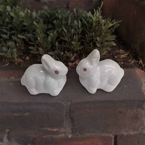 Rabbit sitting ceramic Miniature pair ( white ) — Plant N Pots