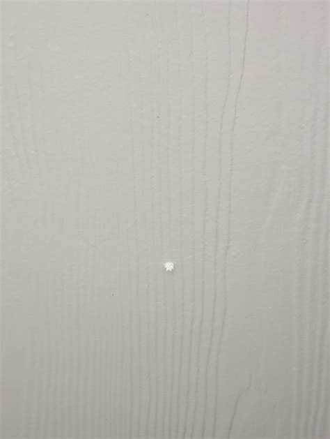 Brown widow egg sac? : r/whatisthisspider