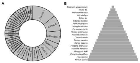 Viruses Infecting Trees and Herbs That Produce Edible Fleshy Fruits ...