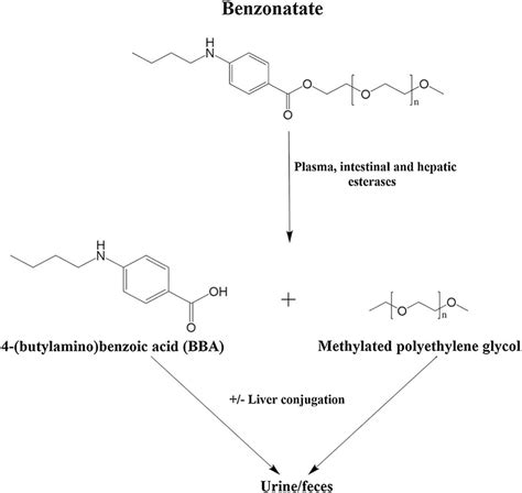 CAS 104-31-4 (Benzonatate) - BOC Sciences