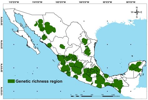 Spatial Delimitation of Genetic Diversity of Native Maize and Its ...