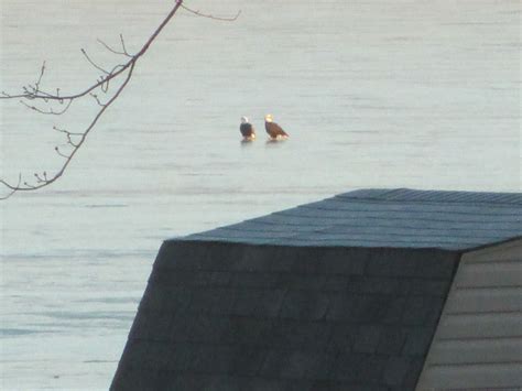 Eyes On The Lake – Holloway Lake Association