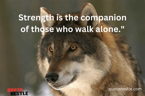 160 Best Lone Wolf Quotes - Quote Nestle