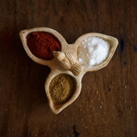 Buy Terracotta Bird Trio spice pinch Online in India – Prosperitymirra