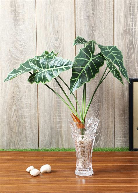 Get Artificial Alocasia Plant at ₹ 910 | LBB Shop
