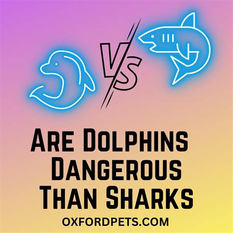 Are Dolphins More Dangerous Than Sharks? [Answer Revealed] - Oxford Pets