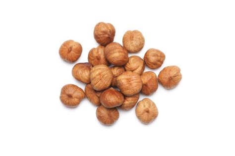 Image result for Hazelnut Tree Top View