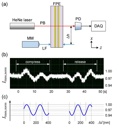 Minimally Intrusive Optical Micro-Strain Sensing in Bulk Elastomer ...