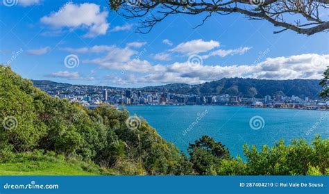 Image result for Alien 4 Scientist