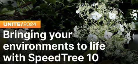 Image result for SpeedTree Modeling