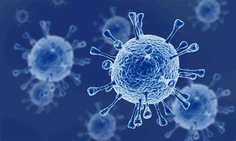 What Does WHO Say About the HMPV Virus?