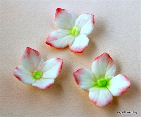 Image result for Sugar Paste Flower Tutorial