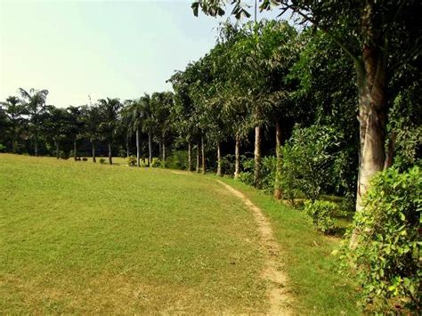 Hauz Khas Village (New Delhi) - 2018 What to Know Before You Go (with ...