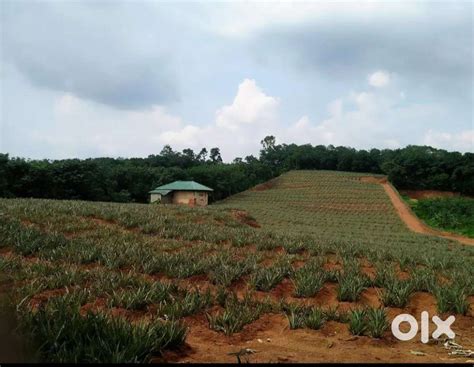 Multipurpose Land (50 cents to 3.50 Acres of plots for Lease or Sale ...