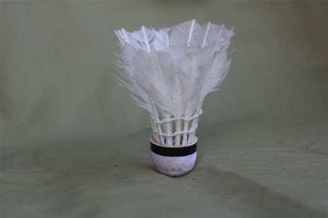 Badminton Net Shuttle Cock 的图像结果