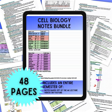 Cell Biology Notes Bundle, Cell Biology Study Guide, MCAT Prep, Pre-med ...