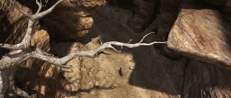 Image result for Hawk Predator Sounds