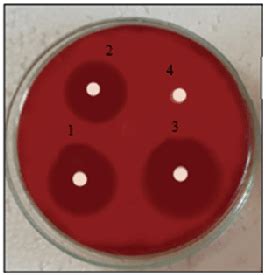 Image result for Mic Disc Diffusion Method