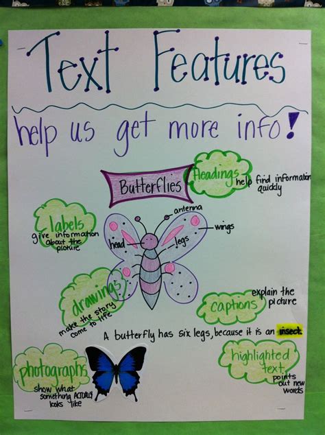 Image result for Text Features Anchor Chart