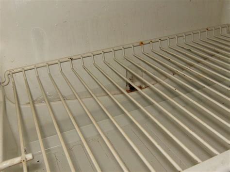 CHEZ FOUZIA (Essaouira) - Guesthouse Reviews, Photos, Rate Comparison ...