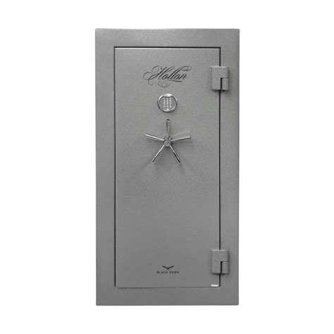 Best Gun Safe
