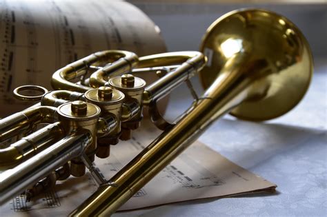 Image result for Trumpet