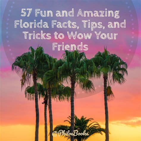 57 Fun and Amazing Florida Facts, Tips, and Tricks to Wow Your Friends - Penelope Silvers