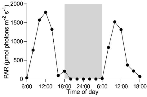 Photosynthetic Characteristics of Macroalgae Ulva fasciata and ...
