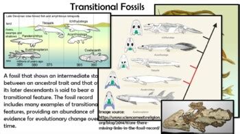 Image result for Continuing Evolution