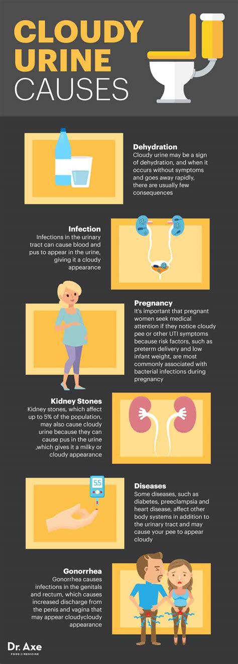 What Does Cloudy Urine Mean During Pregnancy at Donald Blanton blog