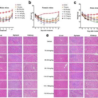 Image result for Intraperitoneal Injection of BALB/c Mice