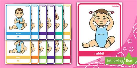 Animals Baby Sign Language - Poster Pack (teacher made)
