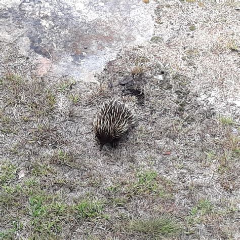 Q STATION - SYDNEY HARBOUR NATIONAL PARK (Manly) - Hotel Reviews ...